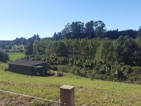 163 Walford Road, Aongatete