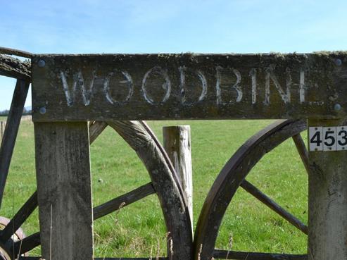 453 Woodside Road, Oxford