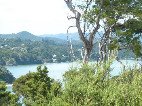 13/40 School Road, Paihia