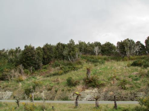 3 Little Paddock Road, Kaniere
