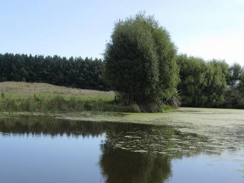 381 Lake Road, Himatangi