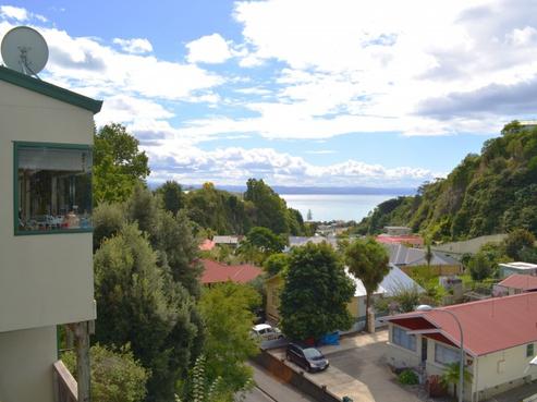 80 Milton Road, Napier Hill