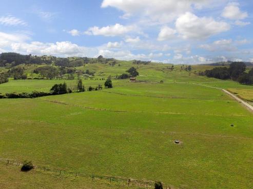 295 Tangowahine Settlement West Road, Dargaville Surrounds