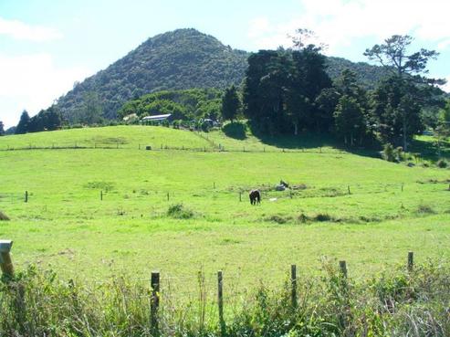 150 Jordan Valley Road, Hikurangi