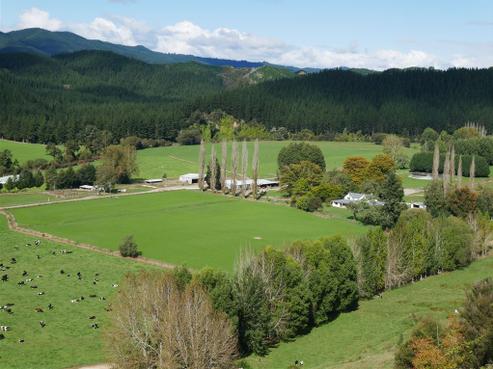 414 Sherry River Road, Tapawera