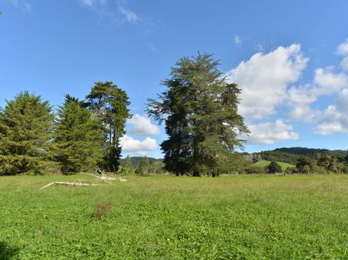 127 Mcbreen Road, Hikurangi
