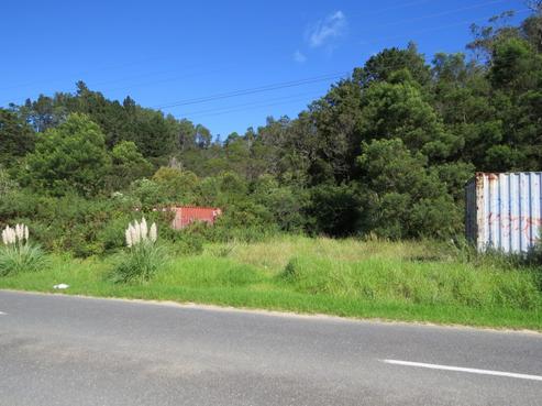 359 Hauraki Road, Coromandel