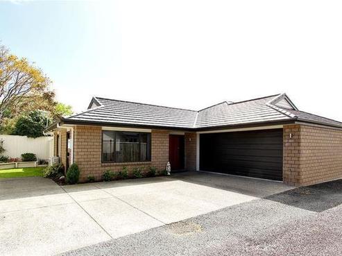 41C Mangorei Road, Strandon