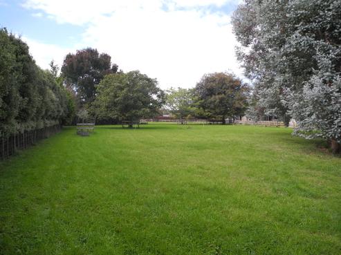 1730 Mcclure Street, Pirongia