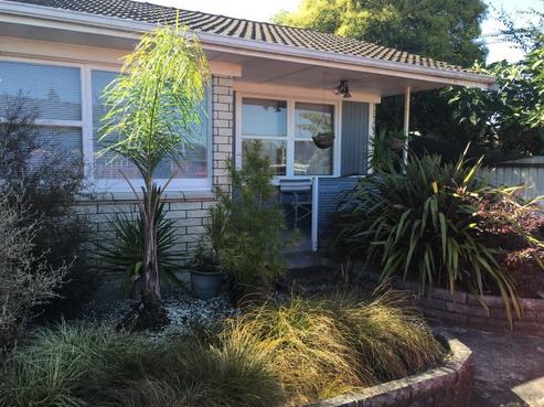 11C Gadsby Place, Hamilton East