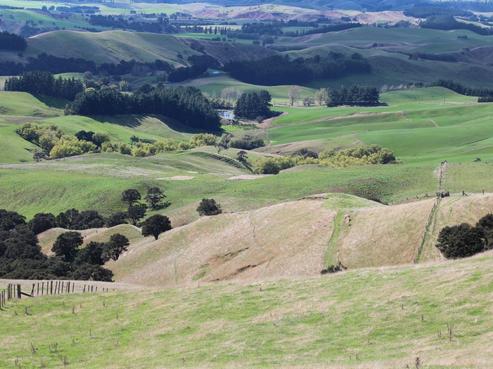 206 Ngawaka Road, Central Hawkes Bay Country