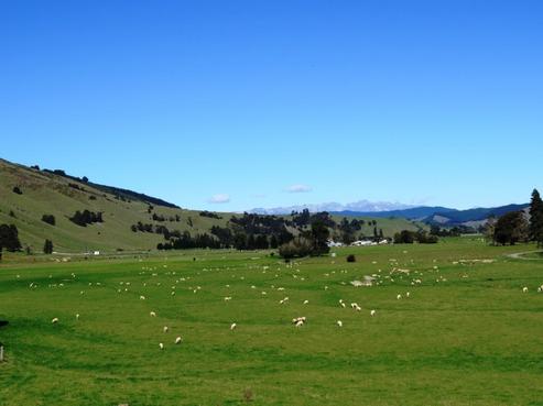 65 Korere-tophouse Road, Tapawera