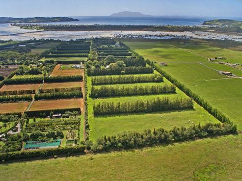 146 Jones Road, Tawharanui Peninsula