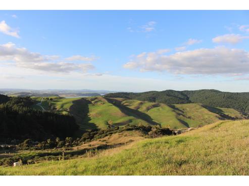 1280 Run Road, Tapora