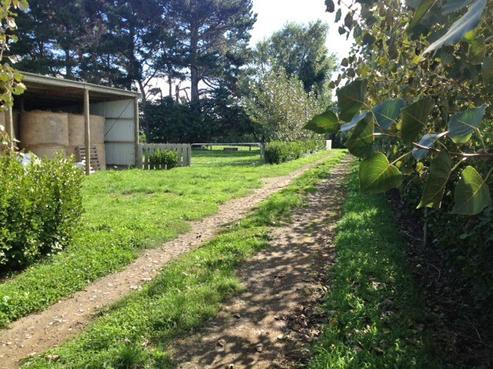 5704 Mountain Road, Normanby