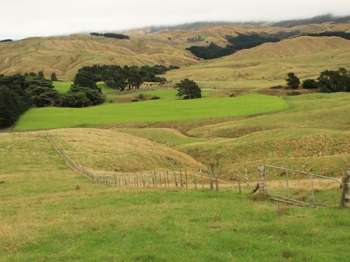 912 Range Road, Pongaroa