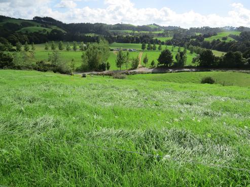 506 Marua Road, Hikurangi