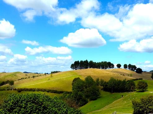 57F Nairn Road, Hunua