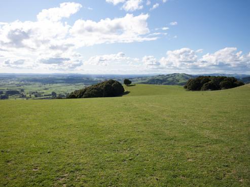61 Griggs Road, Rotoorangi