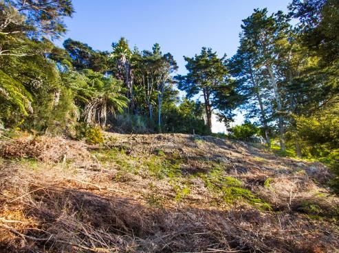 60 Rewa Road, Maraetai