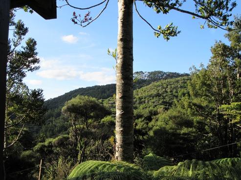 119 Lone Kauri Road, Karekare