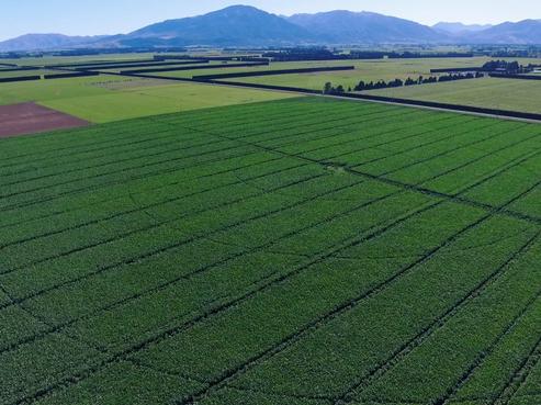 385 Tramway Road, Mount Somers
