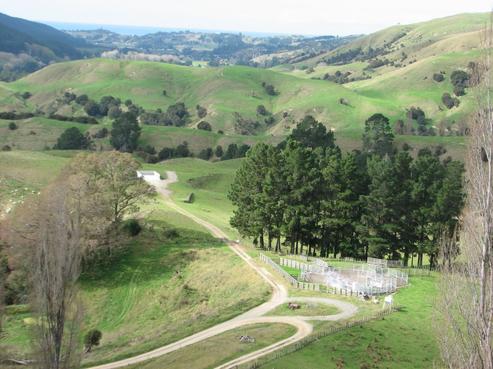 167 Beattie Road, Eskdale