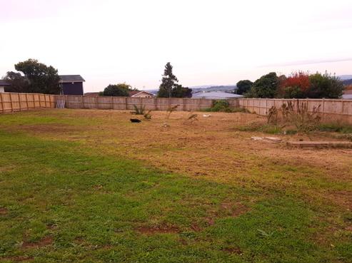 6 Laylin Place, Pukekohe