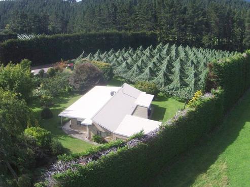 51 Rangihau Road, Coroglen