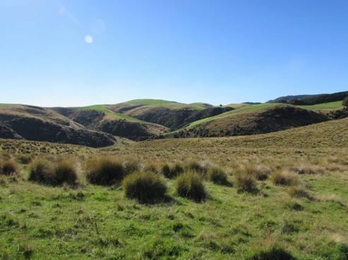 42 Bushside Road, Tapanui