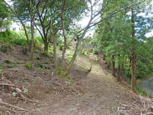 371A Mangorei Road, Merrilands
