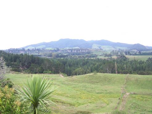 1148 Arapuni Road, Arapuni