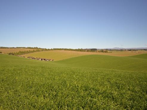 204 Spur Road, Rosewill