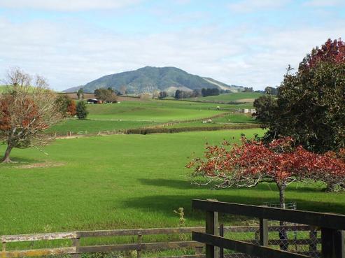 315 Te Mawhai Road, Tokanui