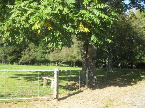 524 Ngamoko Road, Norsewood