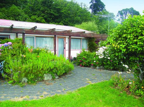 493D Leith Street, North Dunedin