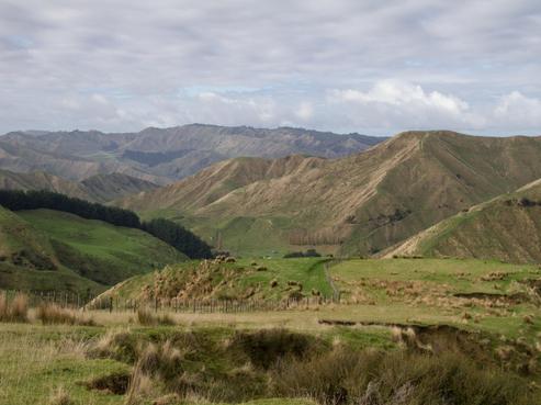 115 Waipapa Road, Kakatahi