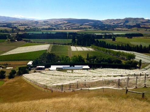 454 Omihi Road, Waipara