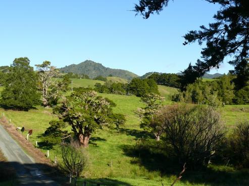355 Tangihua Road, Maungakaramea