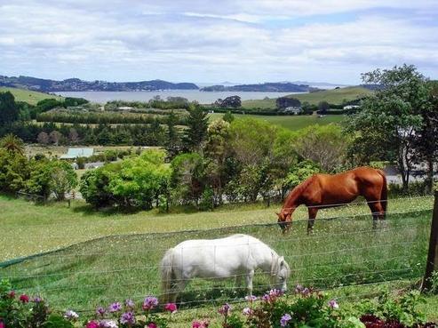 43 Midgley Road, Mangonui
