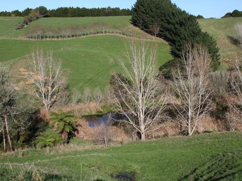 211 Woodleigh Road, Whangape