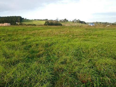 40 Aileron Rise, Dairy Flat