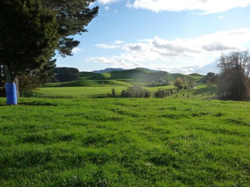 649 Overdale Road, Putaruru