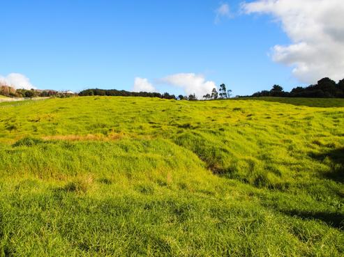 46 Vista Lane, Kaiwaka