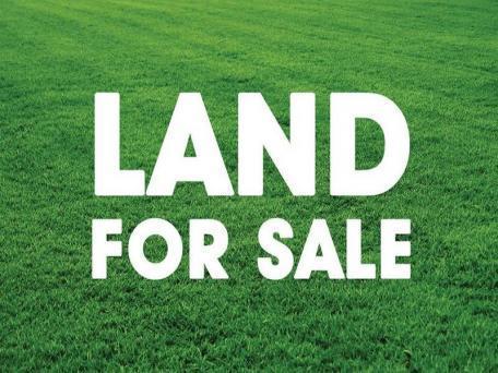 11 Island View Road, Karaka