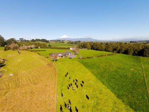 246 Lower King Road, Tarurutangi