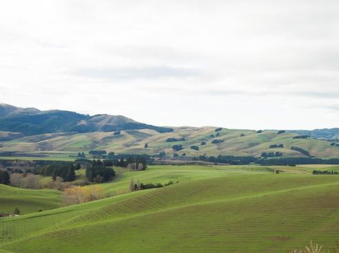 1449 Hakataramea Highway, Ikawai