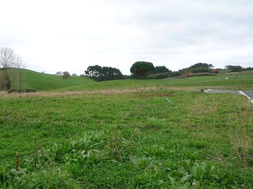 11 Nanjing Road, Pukekohe
