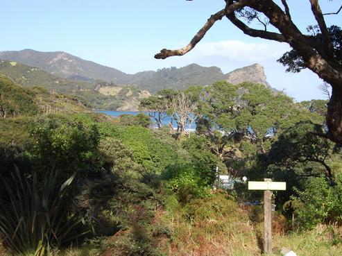 13 Workington Road, Great Barrier Island