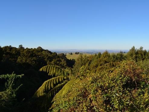 159 Hardy Road, Ongaonga